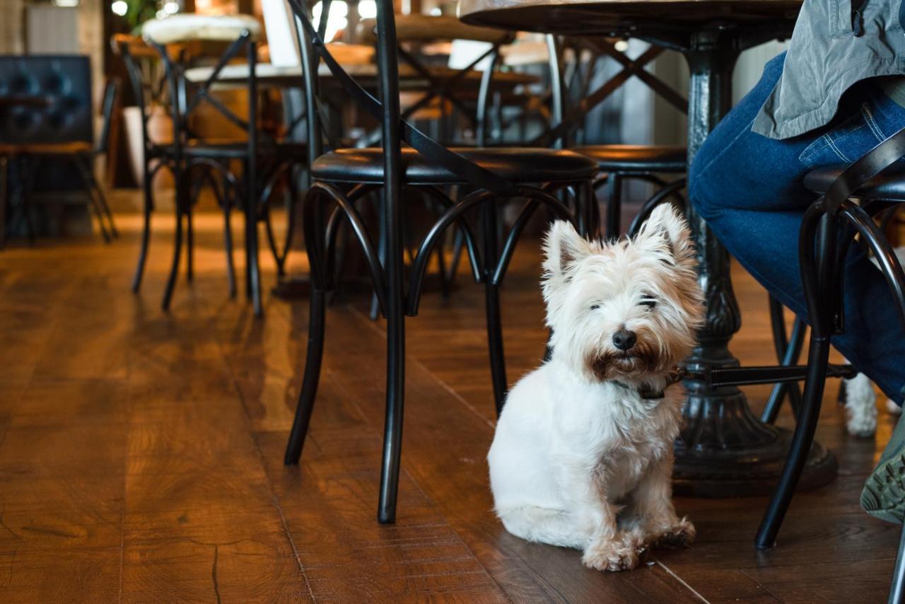 The Seaburn Inn - The Inn Collection Group Sunderland  Luaran gambar